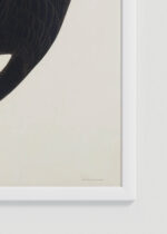 Zdjęcie produktu: Plakat Fregata ptasica Johna Jamesa Audubona z Birds of America