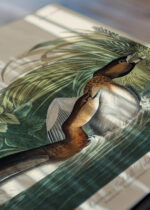 Zbliżenie na detale plakatu: Perkoz Amerykański - John James Audubon Birds of America