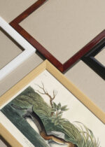 Widok z góry na cztery drewniane ramki, w jednej z nich oprawiony plakat Perkoz Amerykański - John James Audubon Birds of America