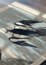 Zbliżenie na detale plakatu: Smocza Biała Kaczka John James Audubon