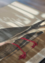 Zbliżenie na detale plakatu: Mewa czarnogłowa - John James Audubon Birds of America