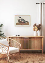 Aranżacja wnętrza, na ścianie wisi plakat w ramce: Mewa czarnogłowa - John James Audubon Birds of America