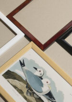 Widok z góry na cztery drewniane ramki, w jednej z nich oprawiony plakat Kittiwake Gull - John James Audubon Birds of America