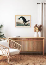 Aranżacja wnętrza, na ścianie wisi plakat w ramce: Kormoran florydzki John James Audubon Birds of America