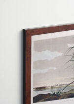 Plakat oprawiony w drewnianą brązową ramkę Vintage Italia: Długodzioby batalion - John James Audubon