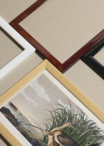 Widok z góry na cztery drewniane ramki, w jednej z nich oprawiony plakat Długodzioby batalion - John James Audubon