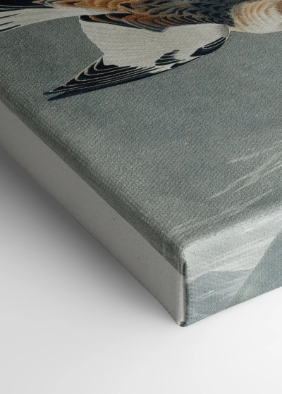 Śnieżka zmienna - ptaki Ameryki John James Audubon obraz na płótnie