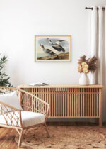 Aranżacja wnętrza, na ścianie wisi plakat w ramce: Kaczka pstra - ilustracja ptaków Johna Jamesa Audubona