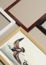 Widok z góry na cztery drewniane ramki, w jednej z nich oprawiony plakat Sieweczka obrożna ptaki Audubon vintage