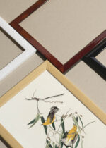Widok z góry na cztery drewniane ramki, w jednej z nich oprawiony plakat Prothonotary Warbler John James Audubon ptaki
