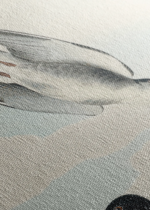 Czarna Rybitwa John James Audubon ptaki obraz na płótnie