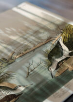 Zbliżenie na detale plakatu: brodźce plamiste Audubon ptaki vintage natura