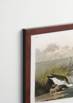 Plakat oprawiony w drewnianą brązową ramkę Vintage Italia: brodźce plamiste Audubon ptaki vintage natura