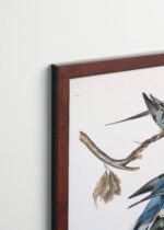 Aranżacja wnętrza, na ścianie wisi plakat w ramce: Gołębie Wędrowne John James Audubon Birds of America