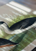 Zbliżenie na detale plakatu: Perki czubate John James Audubon Birds of America