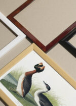 Widok z góry na cztery drewniane ramki, w jednej z nich oprawiony plakat Perki czubate John James Audubon Birds of America