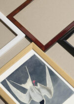 Zbliżenie na detale plakatu oprawionego w drewnianą białą ramkę od Plakatello®: Rybitwa długosterna John James Audubon ptaki