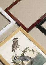 Widok z góry na cztery drewniane ramki, w jednej z nich oprawiony plakat czapla żółtokorona Audubon Birds of America