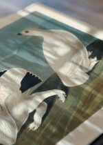 Zbliżenie na detale plakatu: Pardwy amerykańskie John James Audubon vintage