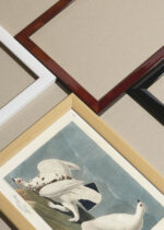 Widok z góry na cztery drewniane ramki, w jednej z nich oprawiony plakat Pardwy amerykańskie John James Audubon vintage