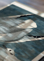 Widok z góry na cztery drewniane ramki, w jednej z nich oprawiony plakat Mewy Bonapartego John James Audubon vintage