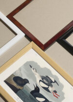 Widok z góry na cztery drewniane ramki, w jednej z nich oprawiony plakat ptaki morskie John James Audubon vintage