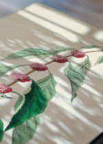 Zbliżenie na detale plakatu: Cerulean Warbler John James Audubon vintage