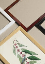 Widok z góry na cztery drewniane ramki, w jednej z nich oprawiony plakat Cerulean Warbler John James Audubon vintage