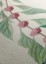 Cerulean Warbler John James Audubon vintage obraz na płótnie