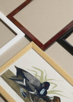 Widok z góry na cztery drewniane ramki, w jednej z nich oprawiony plakat Głuptak Zwyczajny Birds of America Audubon