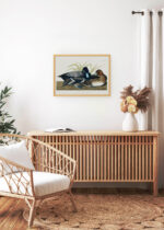 Aranżacja wnętrza, na ścianie wisi plakat w ramce: Głuptak Zwyczajny Birds of America Audubon