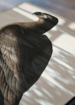 Zbliżenie na detale plakatu: orzeł Audubon Birds of America vintage