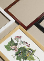 Widok z góry na cztery drewniane ramki, w jednej z nich oprawiony plakat ptaki Audubon Black-throated Blue Warbler