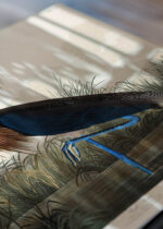 Zbliżenie na detale plakatu: Czaple John James Audubon Birds of America