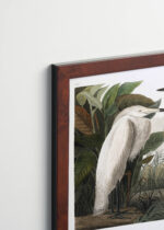 Plakat oprawiony w drewnianą brązową ramkę Vintage Italia: Czaple John James Audubon Birds of America