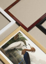 Widok z góry na cztery drewniane ramki, w jednej z nich oprawiony plakat Czaple John James Audubon Birds of America