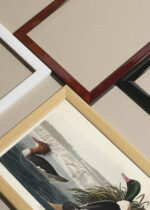 Widok z góry na cztery drewniane ramki, w jednej z nich oprawiony plakat nurogęsi Birds of America John James Audubon