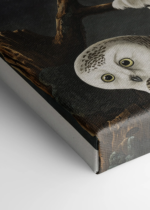 Sowy śnieżne John James Audubon Birds of America obraz na płótnie