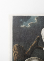 Sowy śnieżne John James Audubon Birds of America obraz na płótnie