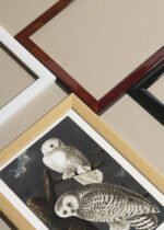 Widok z góry na cztery drewniane ramki, w jednej z nich oprawiony plakat Sowy śnieżne John James Audubon Birds of America