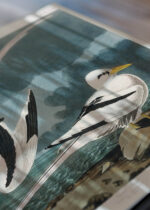 Zbliżenie na detale plakatu: Tropikalne ptaki morskie John James Audubon