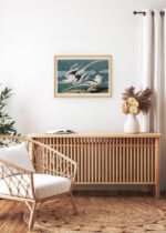 Aranżacja wnętrza, na ścianie wisi plakat w ramce: Tropikalne ptaki morskie John James Audubon