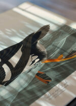 Zbliżenie na detale plakatu: Gągoł John James Audubon Birds of America