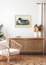 Aranżacja wnętrza, na ścianie wisi plakat w ramce: Gągoł John James Audubon Birds of America