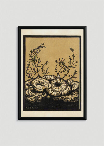 Plakat w drewnianej czarnej ramce: botaniczny grzyby Julie de Graag 1917 drzeworyt