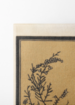 botaniczny grzyby Julie de Graag 1917 drzeworyt obraz na płótnie