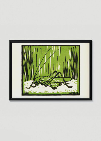 Plakat w drewnianej czarnej ramce: konik polny Julie de Graag 1918 vintage grafika