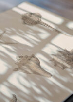 Zbliżenie na detale plakatu: muszle i rozgwiazda Julie de Graag vintage sepia