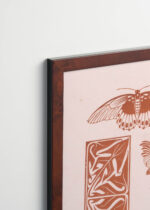 Plakat oprawiony w drewnianą brązową ramkę Vintage Italia: motyl kogut Julie de Graag vintage secesja art