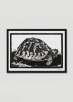 Plakat w drewnianej czarnej ramce: żółw drzeworyt Julie de Graag czarno-biały